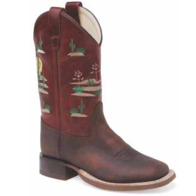 Cowboy boots for children BSC1933, brown-bordeaux
