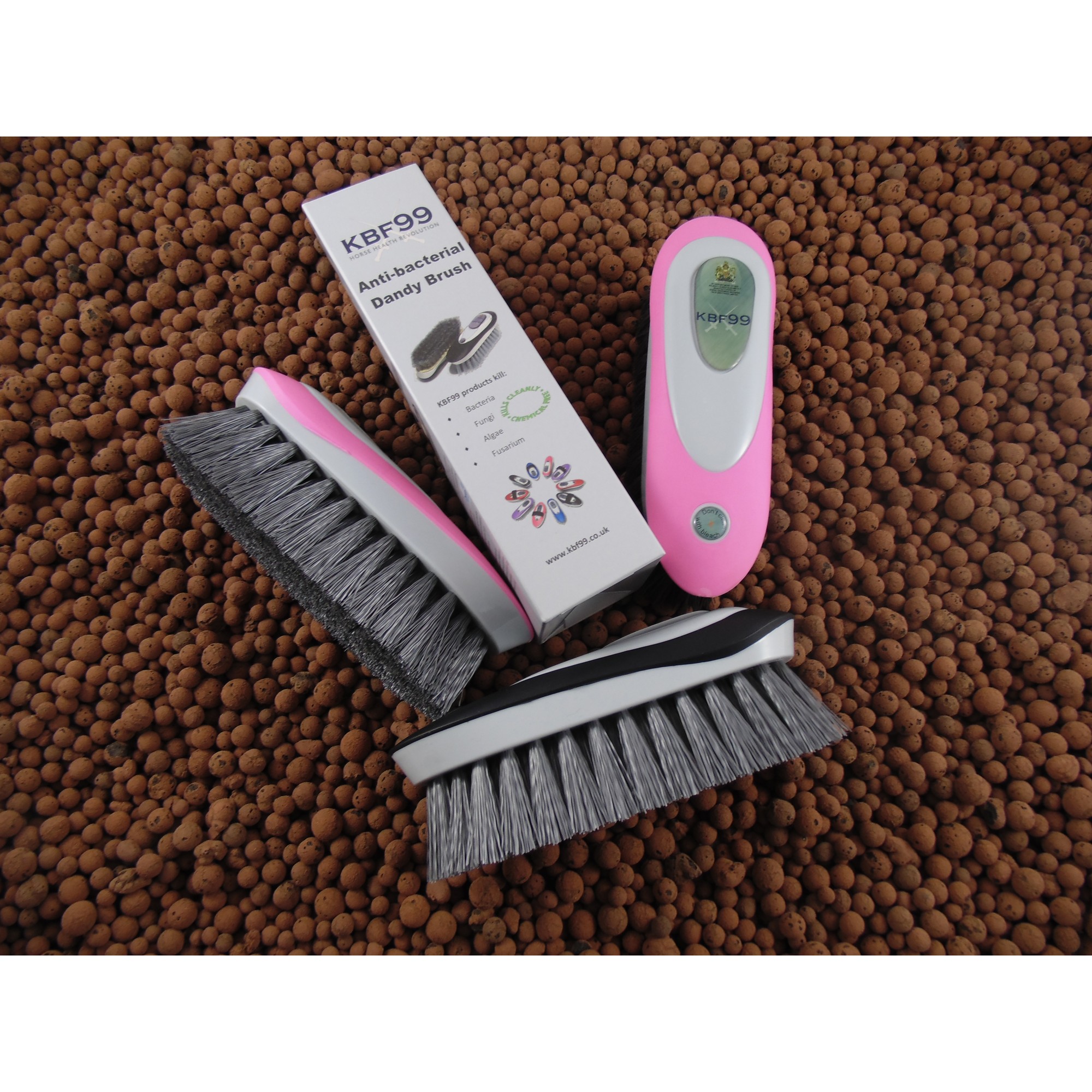 KBF99 Dandy Brush (short bristles), pink
