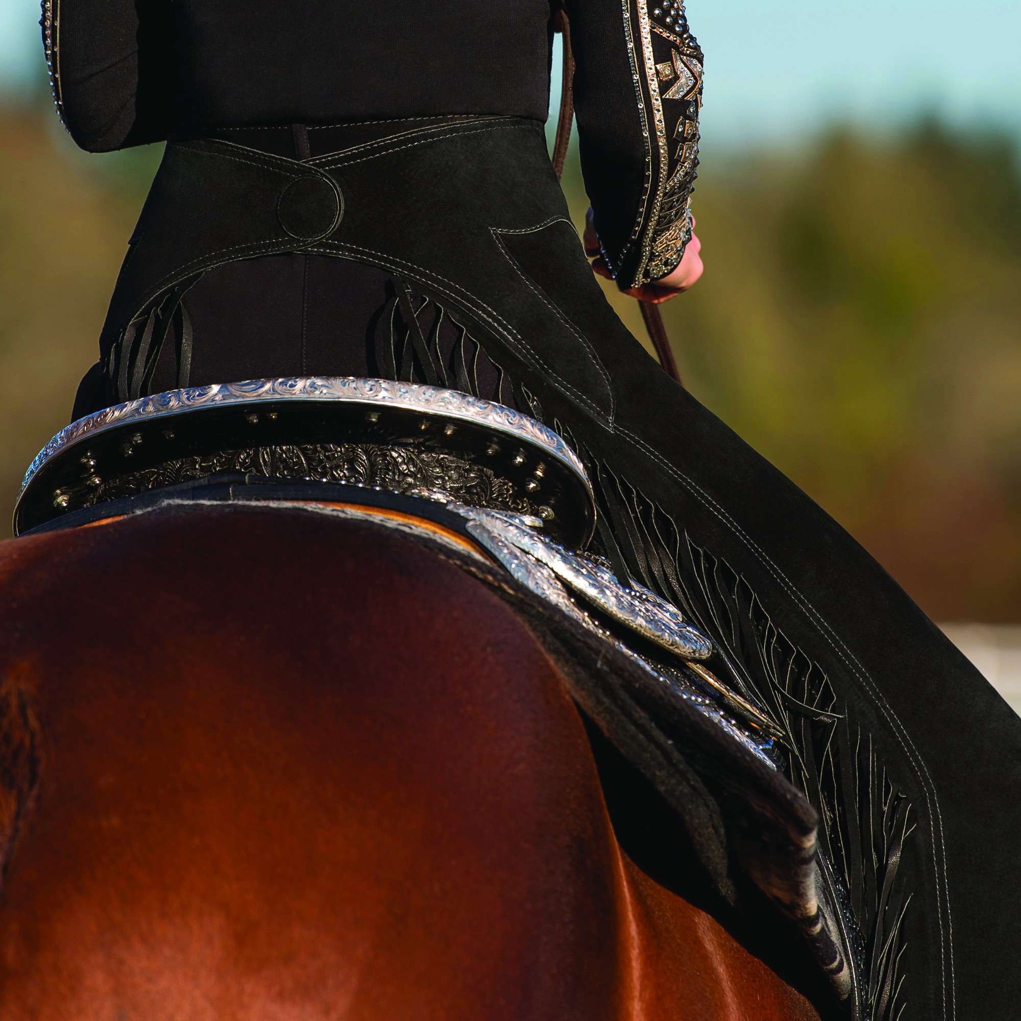 IRIDEON® Riding breeches Circuit Show Pant, size M
