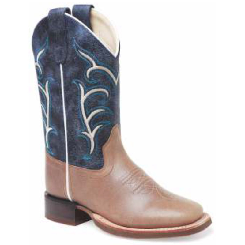 Cowboy boots for children BSC1931, brown-blue