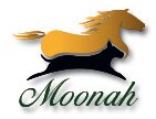 Moonah