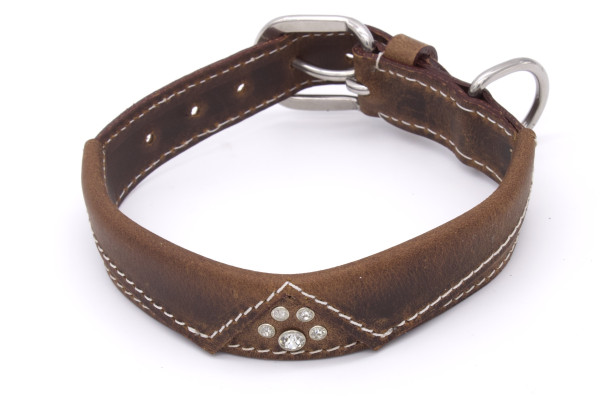 Vintage dog collar with genuine leather collar